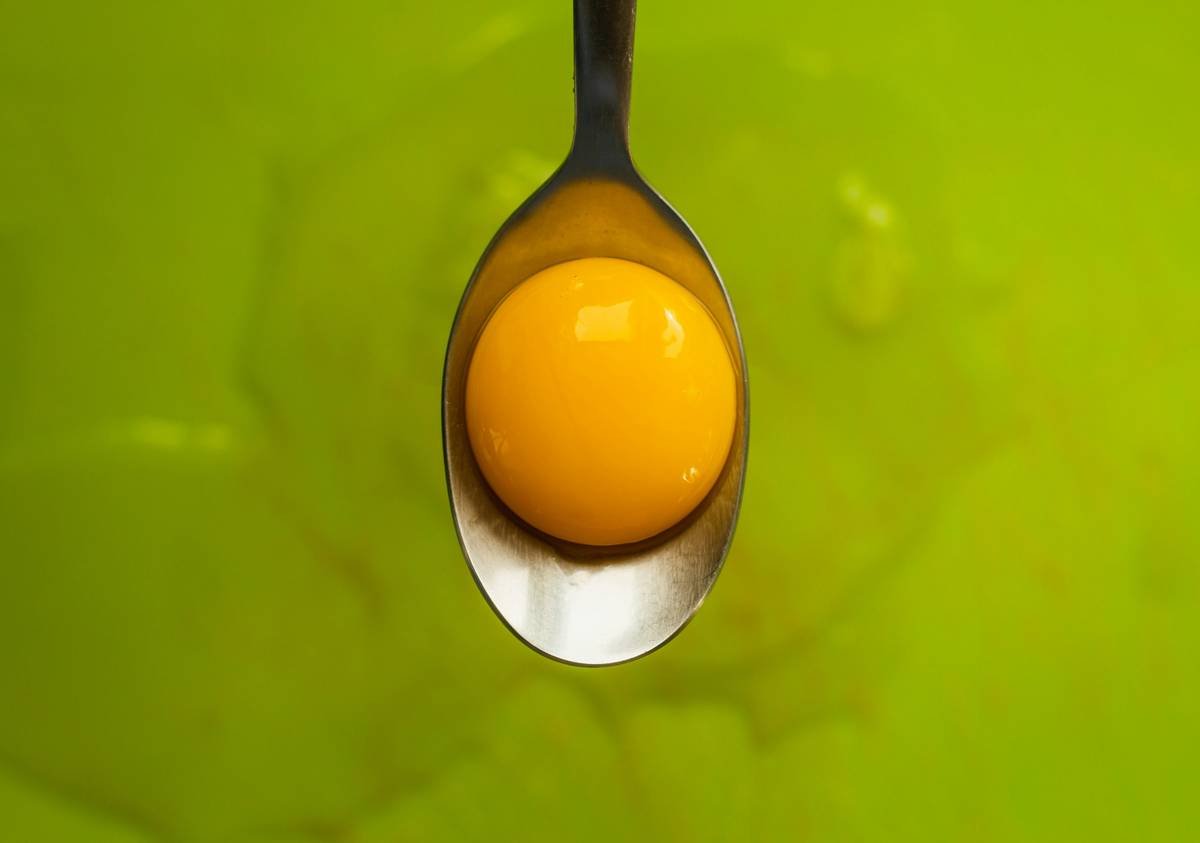 Comparison chart of stainless steel vs. silicone egg poachers showing heat distribution, durability, and ease of release