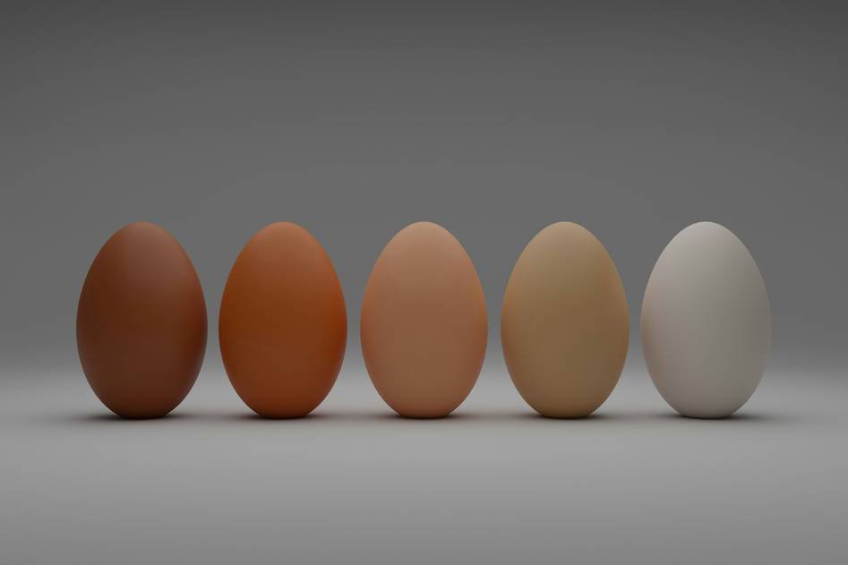 Homepage for Home Improvement Tools & Hardware egg poachers