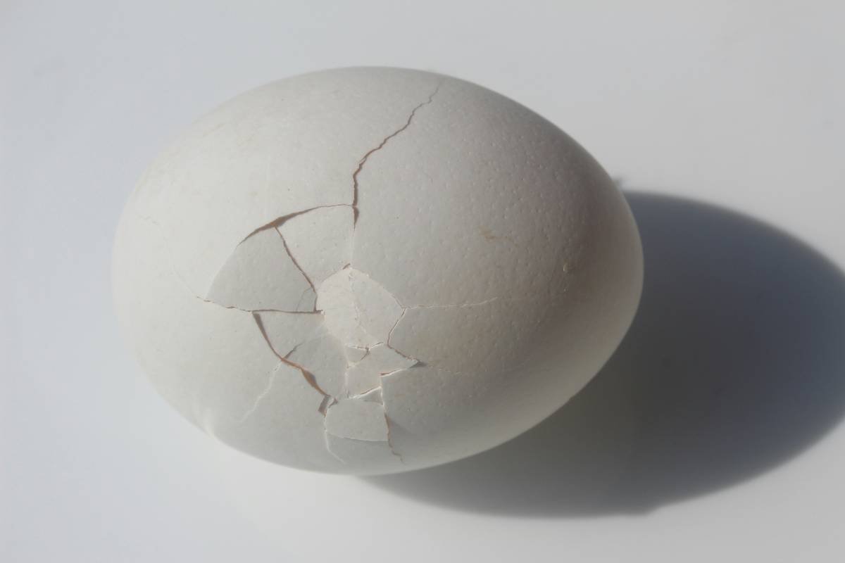 Infographic showing side-by-side comparison: chaotic egg cracking vs. organized cracking with an egg cracks organizing tool, highlighting reduced shell contamination and improved workflow