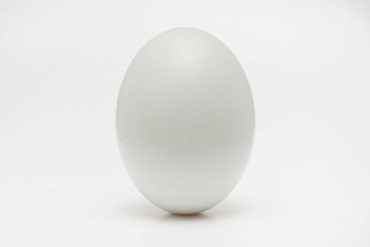 microwave egg poacher instructions pdf