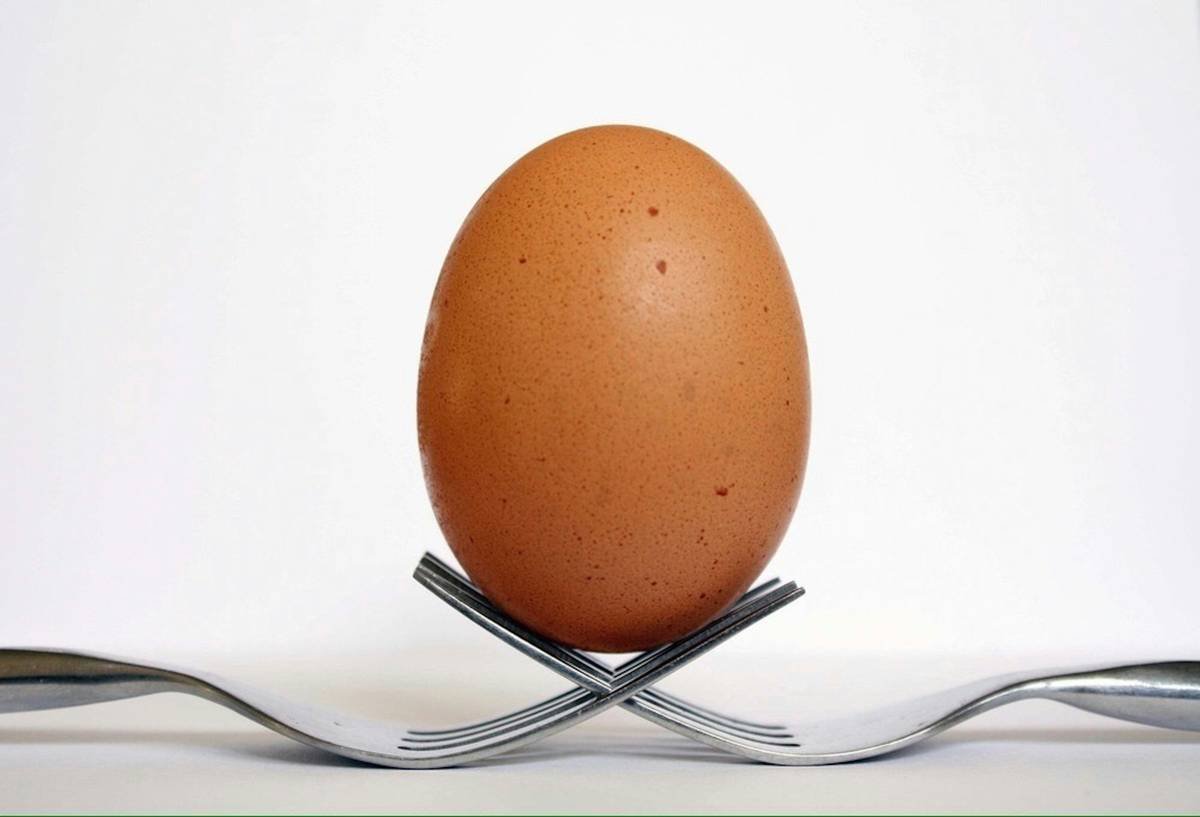 The Real Deal on Egg Tools and Equipment: Why Your Poached Eggs Keep Failing